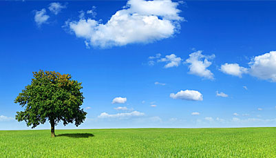 やぶさき泌尿器クリニック 診療内容の詳細 やぶさき泌尿器クリニック 診療内容の詳細